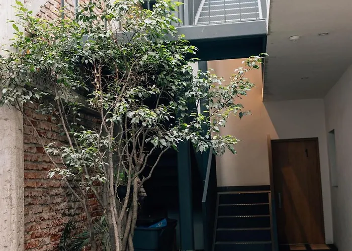 Casa Xotol Apartment