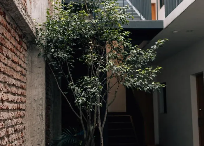 Apartment Casa Xotol Mexico City