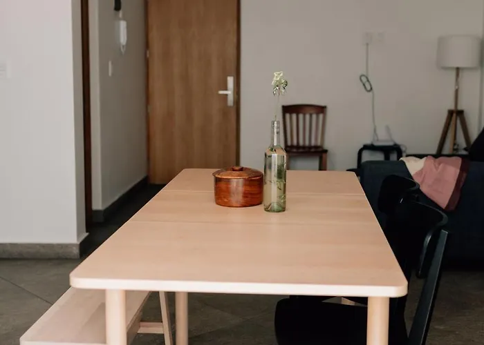 Casa Xotol Apartment Mexico City