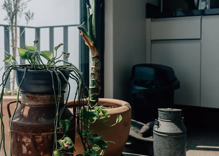 Casa Xotol Apartment Mexico City